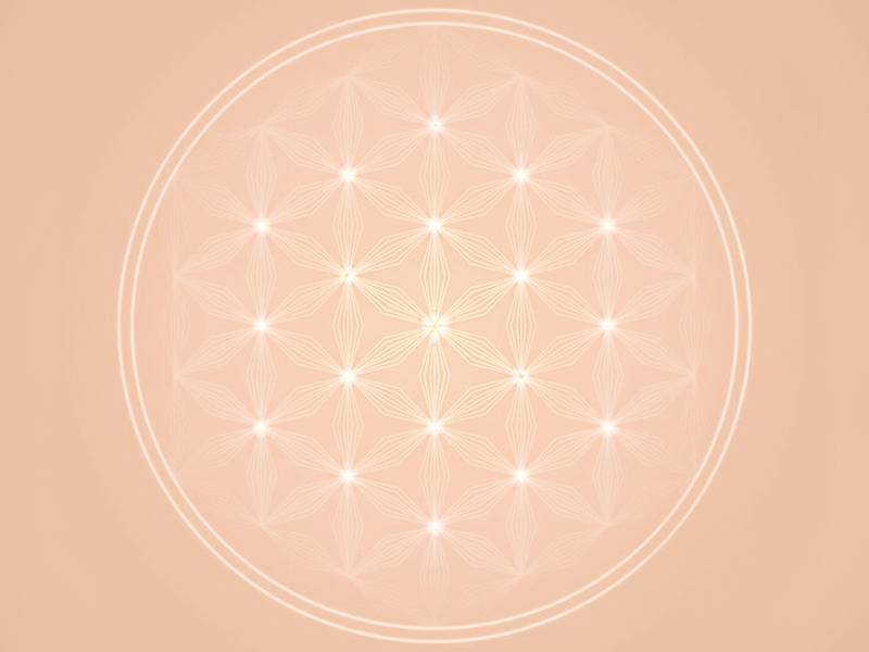 Anillo Flor de la Vida